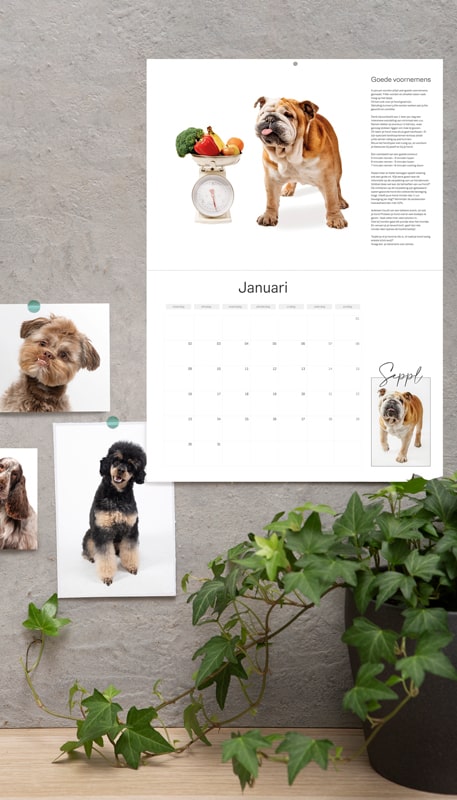 Hondenkalender 2023 -maandkalender-jaarkalender-limburg